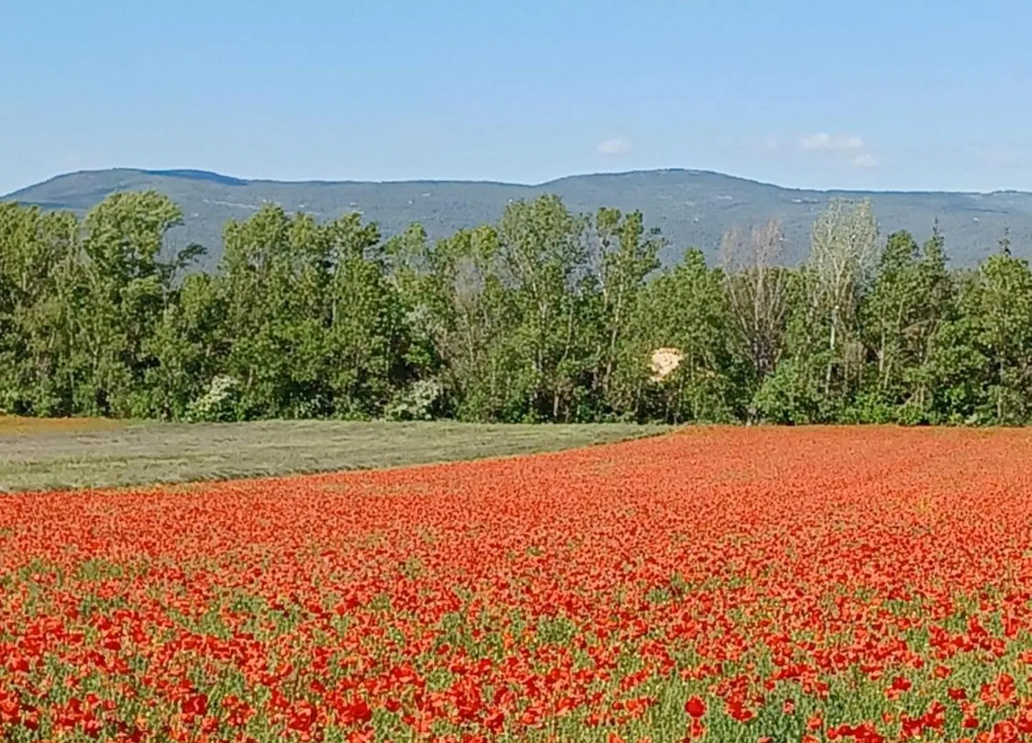 A 5 Minutes Des Ocres Gite La Charite Gordes Roussillon Villa Gargas  Holiday home Gargas (Vaucluse)