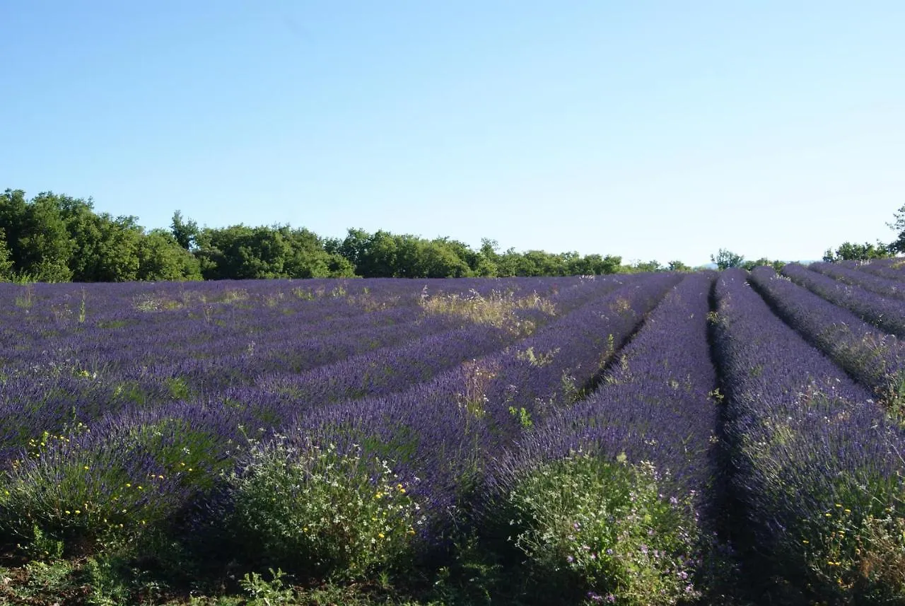 펜션 A 5 Minutes Des Ocres Gite La Charite Gordes Roussillon 가르가스